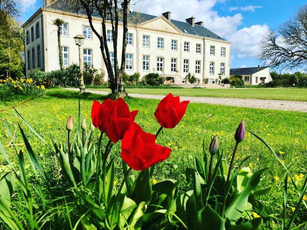 Hotel Du Chateau De Quineville Экстерьер фото